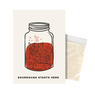 Sourdough Starter